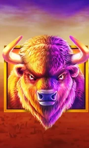 Buffalo King
